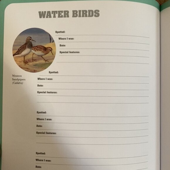 Birdwatching Notes 📕 Book - Picture 7 of 7